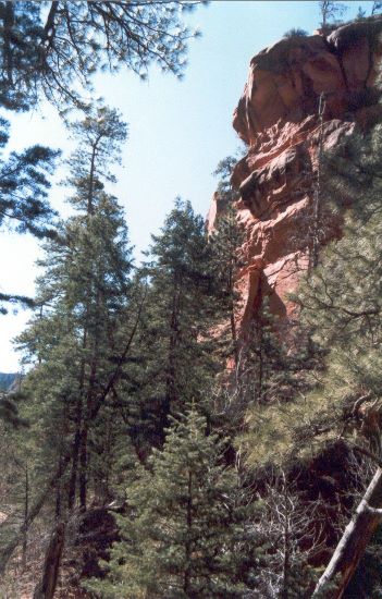 ../Images/072.Zion Canjon.jpg